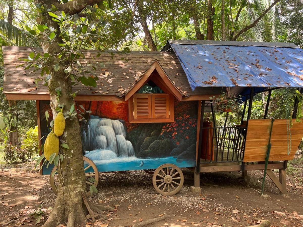 Gypsy Wagons Hotel Pavones  Buitenkant foto